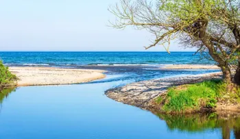 Ambientalistas presentan trilogía 'Trinchera de ternura' para impulsar el cuidado de la naturaleza