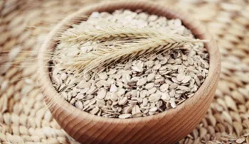 ¿Por qué la avena es el cereal milagroso?