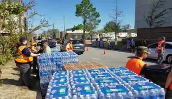 Seis perros encerrados se salvaron de morir ahogados en inundaciones provocadas por el huracán Florence