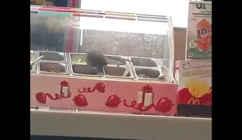 Una enorme rata es sorprendida dándose un festín en un McDonald's