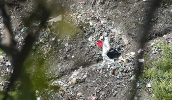 Experimento de quema de cerdos pone a prueba versión de la hoguera de los 43 de Ayotzinapa