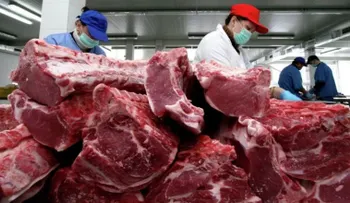 Temer admite que escándalo de la carne causó "embarazo económico" a Brasil