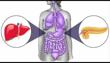 Esta especia repara como magia hígado dañados, diabetes, inflamación, colesterol y más.!