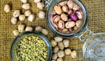 Quieres adelgazar todos los días; este es el alimento que debes comer