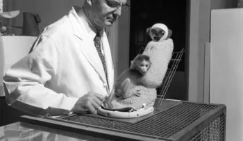 Los insensibles experimentos que investigan la naturaleza del amor