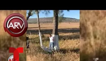Difunden video asesinado sobrino de Joan Sebastian
