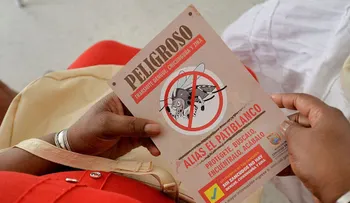 Paraguay confirma el primer caso de zika en una mujer embarazada