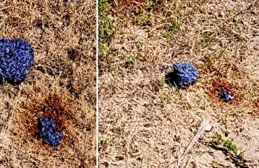 Hallan objeto de origen desconocido en Pilón, Granma; científicos dudan que sea un meteorito