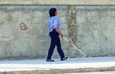 Costo de la educación inclusiva para estudiantes con necesidades específicas