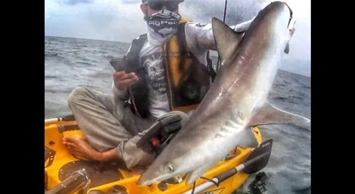 Pesca un tiburón y casi le cuesta una pierna