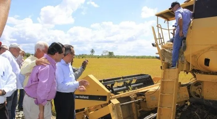 Agricultura inicia recolección de arroz de primavera en SFM