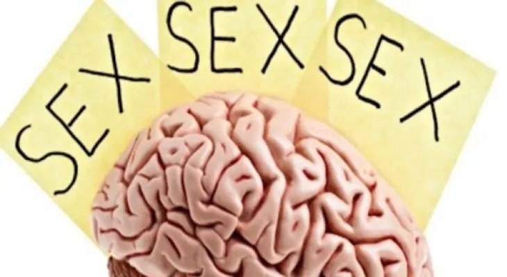 Si eres adicto al porno, así funciona tu cerebro