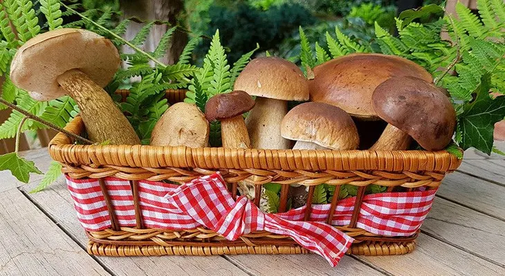  Científicos revelan  el alimento que retrasa el envejecimiento
