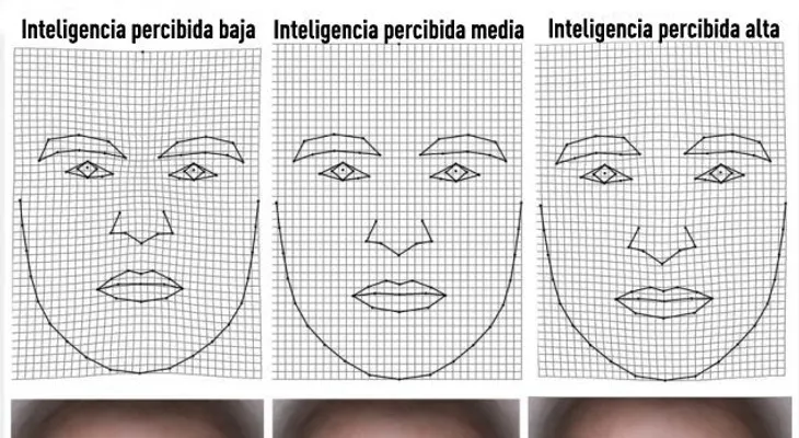 Científicos: El rostro revela el nivel de inteligencia de una persona  
