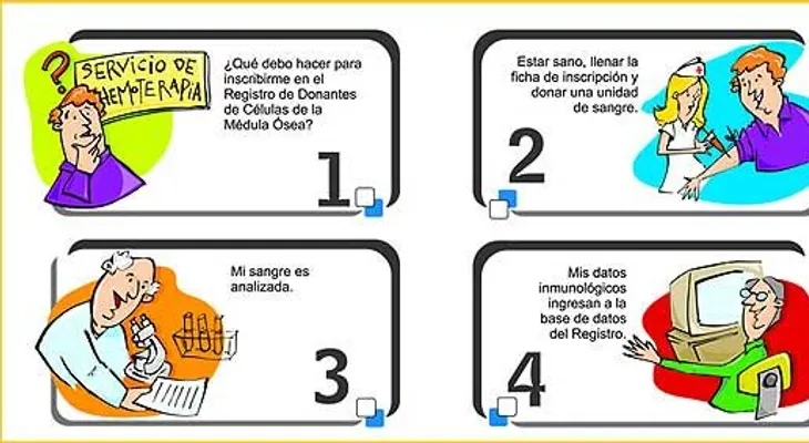Requisitos para donar médula ósea