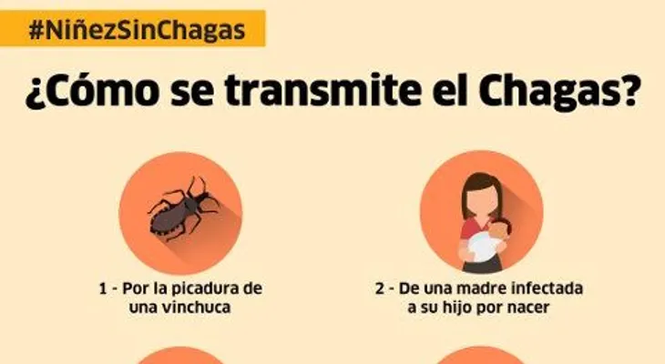 Estados Unidos aprueba un medicamento argentino contra enfermedad de Chagas