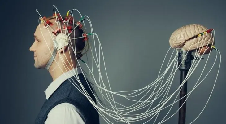 5 preguntas para saber si el cerebro humano es en realidad tan especial