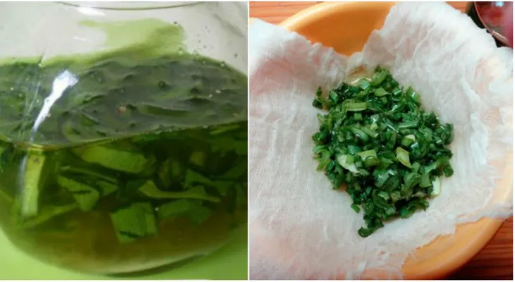 El Aloe vera te ayudarás a deshacerte de las hemorroides para siempre