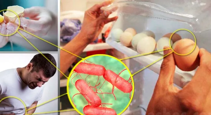 Tu salud corre un gran peligro si guardas los huevos en la nevera 