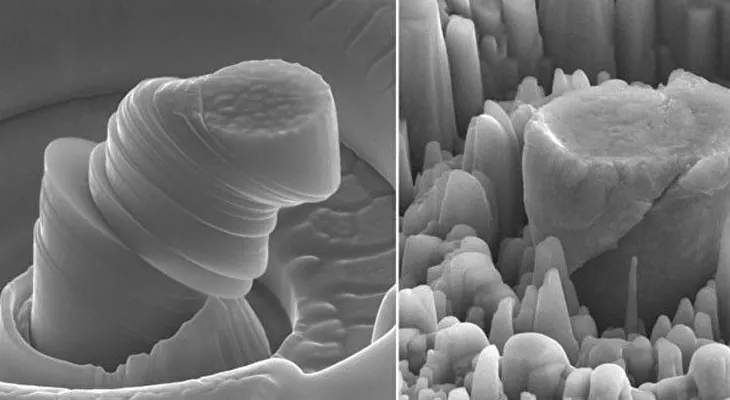 Fuerte y ligero: Investigadores crean un nuevo y revolucionario metal