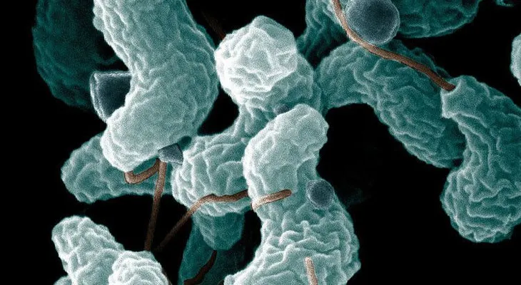 ¿Cuál es el otro espeluznante mal que esconde el zika?