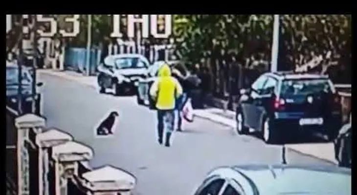 Un perro muerde al ladrón para salvar a mujer de un robo y se convierte en "héroe" 