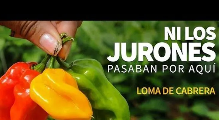 Loma de Cabrera, ni los jurones pasaban por aquí