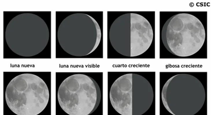 Las fases de la luna y su influencia en tu vida