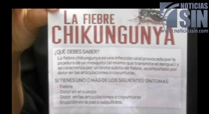 Efectos de la chikungunya podrían tardar años; más de 130 mil casos en República Dominicana 