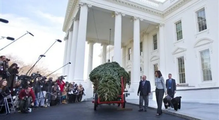 Llega enorme árbol navideño a la Casa Blanca