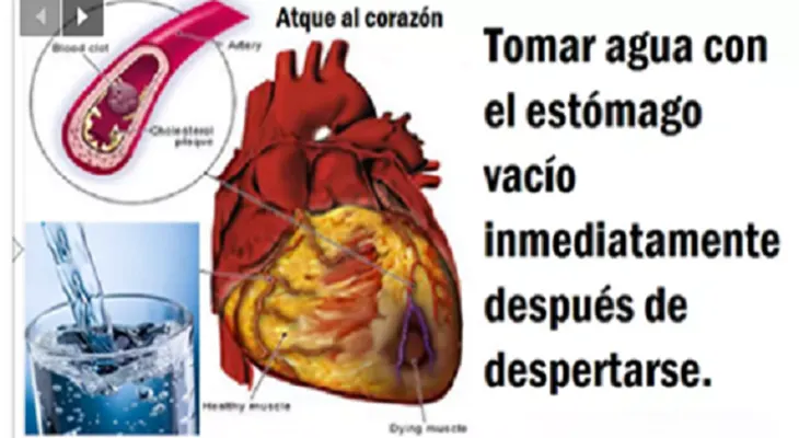¿Por qué tienes que tomar Agua con el estómago vacío? Muy pocos conocen el motivo