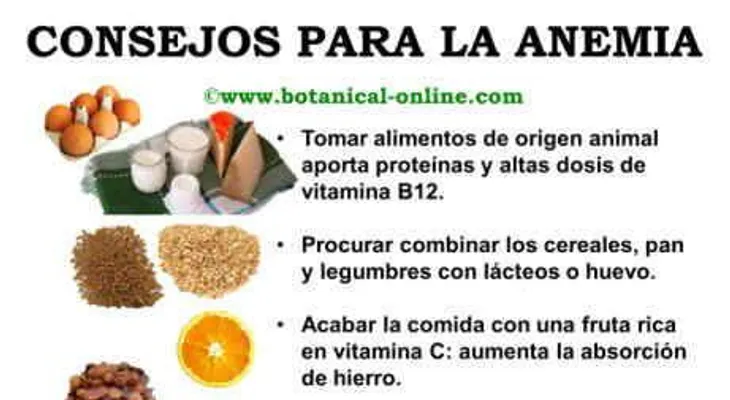 Qué comer en casos de anemia