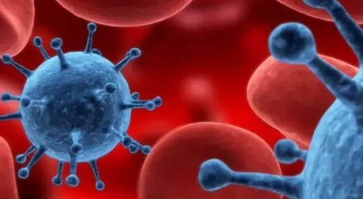 Las fuerzas mecánicas de las células, clave en el desarrollo del cáncer