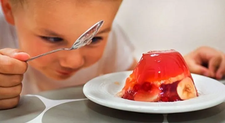 La gelatina favorece el proceso de digestión 