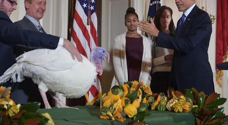 Obama indulta dos pavos por Día de Acción de Gracias 