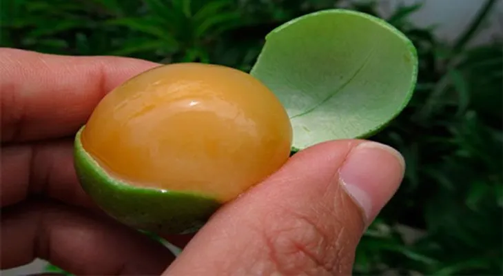 Esta pequeña fruta, cura el insomnio y los nervios dañados. Todos sus beneficios aquí