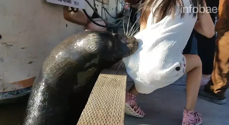 Así fue como esta niña fue arrastrada violentamente por un lobo bajo el agua...