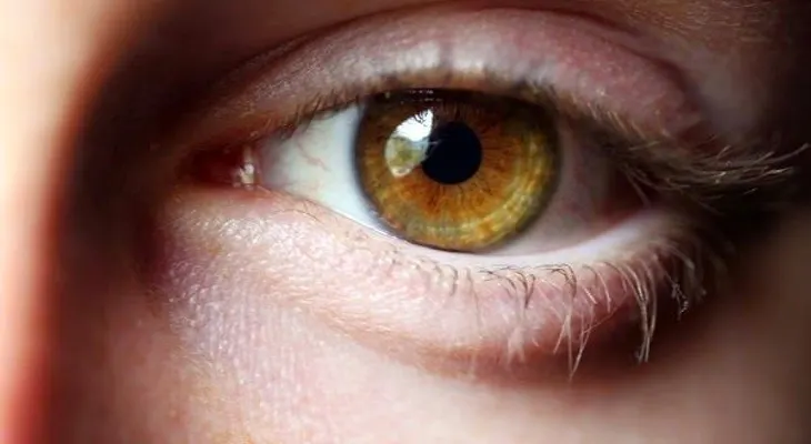 Tips para mejorar tu visión ocular 