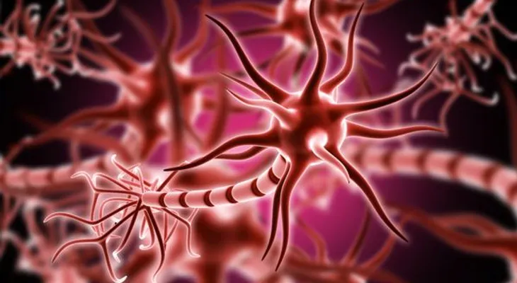 Médicos hallan por accidente el interruptor cerebral de la conciencia humana