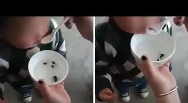 Una madre genera repulsa por dar a comer renacuajos vivos a su pequeño hijo