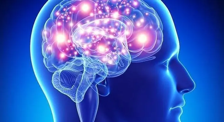 Descubren proteína de la longevidad puede hacerte más inteligente  