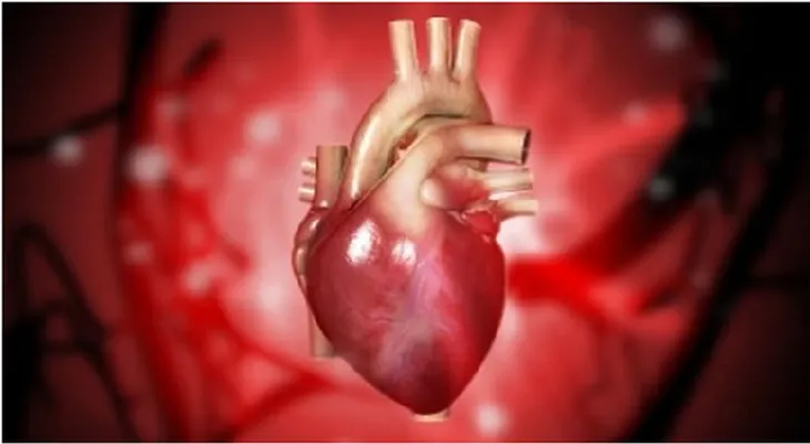 Descubren método para que el corazón se cure a sí mismo después de un infarto