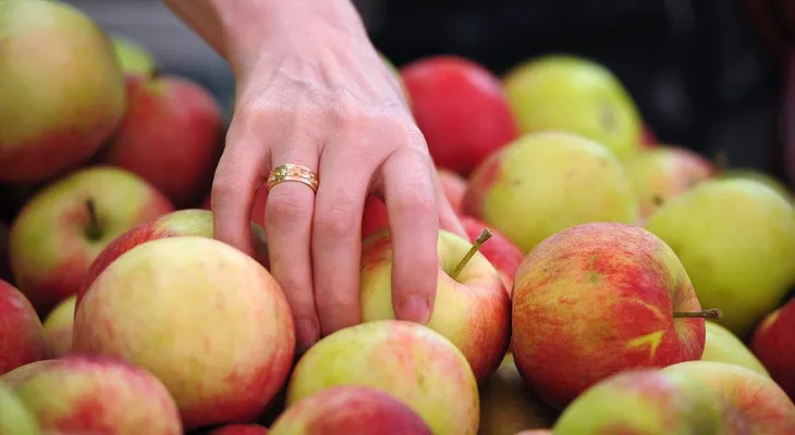 Una manzana al día te ayuda a dejar de fumar; tiene vitamina E y C, previene el cáncer y reduce el colesterol
