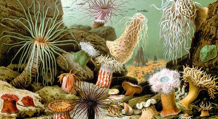 Corregir a Darwin: los científicos revolucionan la teoría de evolución