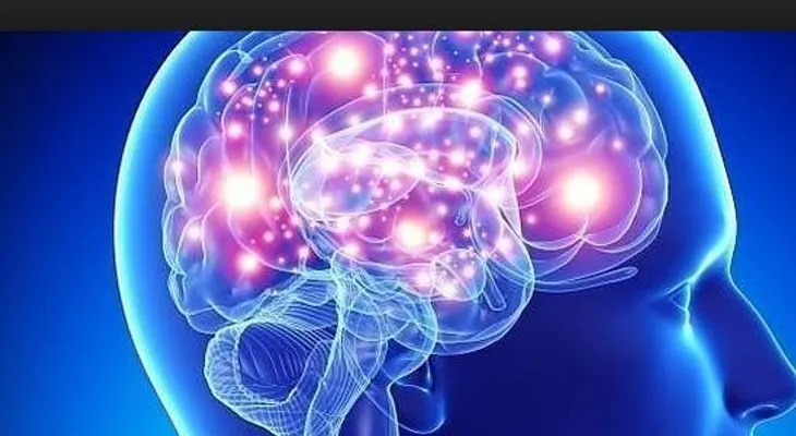 La deficiencia de vitamina E puede dañar el cerebro