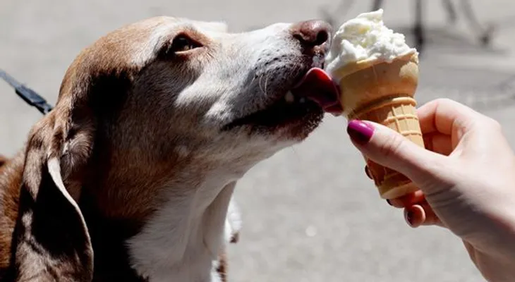 Adelgazar comiendo helados?