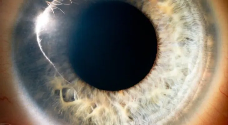 Esto le ocurre a tus ojos cuando tienes vista cansada