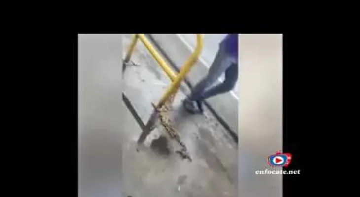 ADVERTENCIA DE IMAGENES MUY FUERTES: Un bebé y sus padres fueron impactados por guagüero