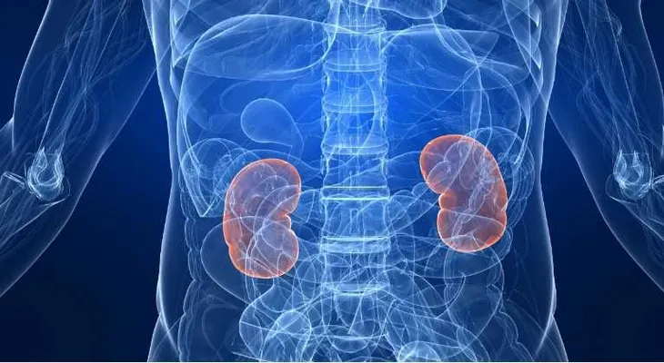 Cáncer de riñón se diagnostica fortuitamente debido a falta de pruebas
