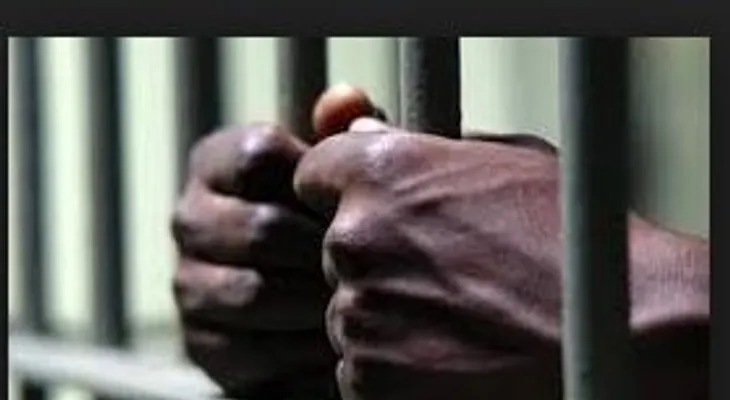 Envían a prisión dos hombres violaron una menor con discapacidad